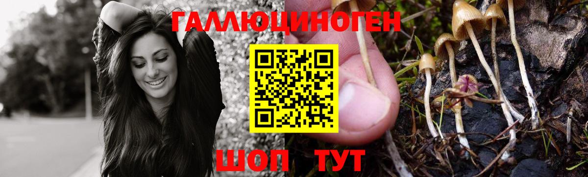 Лысьва  Псилоцибиновые грибы мухоморы  Вход с VPN 